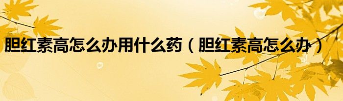 膽紅素高怎么辦用什么藥（膽紅素高怎么辦）