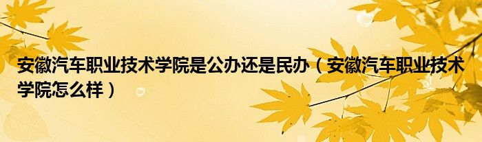 安徽汽車職業(yè)技術學院是公辦還是民辦（安徽汽車職業(yè)技術學院怎么樣）