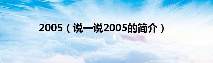 2005（說一說2005的簡介）