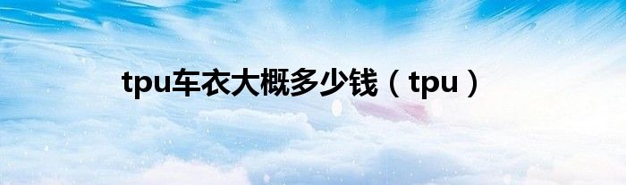 tpu車衣大概多少錢（tpu）