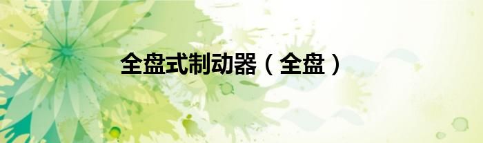 全盤式制動(dòng)器（全盤）