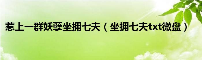 惹上一群妖孽坐擁七夫（坐擁七夫txt微盤）