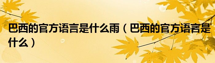 巴西的官方語言是什么雨（巴西的官方語言是什么）