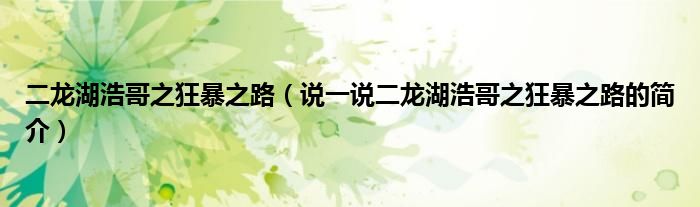 二龍湖浩哥之狂暴之路（說一說二龍湖浩哥之狂暴之路的簡介）