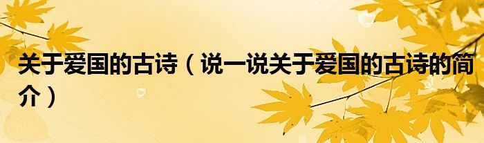 關(guān)于愛國的古詩（說一說關(guān)于愛國的古詩的簡介）