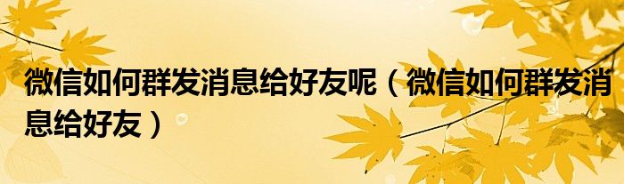 微信如何群發(fā)消息給好友呢（微信如何群發(fā)消息給好友）