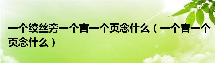 一個(gè)絞絲旁一個(gè)吉一個(gè)頁念什么（一個(gè)吉一個(gè)頁念什么）