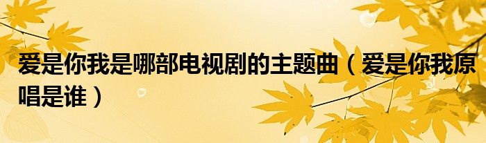 愛(ài)是你我是哪部電視劇的主題曲（愛(ài)是你我原唱是誰(shuí)）