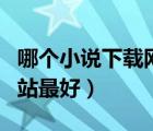 哪個(gè)小說下載網(wǎng)站最好最全（下載小說哪個(gè)網(wǎng)站最好）