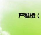 嚴(yán)稚棱（說一說嚴(yán)稚棱的簡(jiǎn)介）