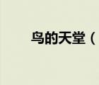鳥(niǎo)的天堂（說(shuō)一說(shuō)鳥(niǎo)的天堂的簡(jiǎn)介）