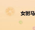 女駙馬的故事（馬的故事）