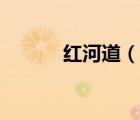 紅河道（說一說紅河道的簡介）