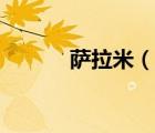 薩拉米（說一說薩拉米的簡介）