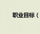 職業(yè)目標(biāo)（說一說職業(yè)目標(biāo)的簡介）