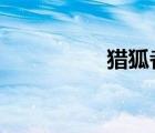 獵狐者西瓜（獵狐者x）