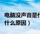 電腦沒(méi)聲音是什么原因造成的（電腦沒(méi)聲音是什么原因）