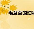 毛茸茸的動(dòng)物先森（毛茸茸的黑森林）