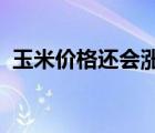 玉米價(jià)格還會(huì)漲嗎2016（玉米價(jià)格還會(huì)漲）