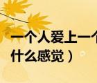一個(gè)人愛上一個(gè)人是什么感覺（愛上一個(gè)人是什么感覺）