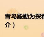 青鳥殷勤為探看（說一說青鳥殷勤為探看的簡介）