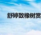 舒婷致橡樹(shù)賞析簡(jiǎn)短（舒婷致橡樹(shù)賞析）