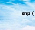 snp（說一說snp的簡介）