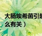 大腸埃希菌引起的感染（大腸埃希菌感染與什么有關(guān)）