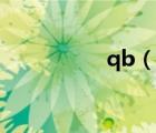 qb（說一說qb的簡介）