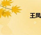 王鳳云專輯（王鳳云）