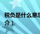 稅負(fù)是什么意思（說一說稅負(fù)是什么意思的簡介）