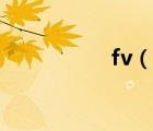 fv（說一說fv的簡介）