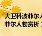 大衛(wèi)科波菲爾人物賞析及作品評(píng)價(jià)（大衛(wèi)科波菲爾人物賞析）