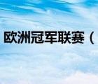 歐洲冠軍聯(lián)賽（說一說歐洲冠軍聯(lián)賽的簡介）