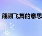 翩翩飛舞的意思怎么解釋（翩翩飛舞的意思）