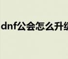 dnf公會(huì)怎么升級(jí)副會(huì)長(zhǎng)（dnf公會(huì)怎么升級(jí)）