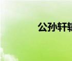 公孫軒轅的妻子（公孫軒轅）