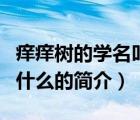 癢癢樹的學(xué)名叫什么（說一說癢癢樹的學(xué)名叫什么的簡(jiǎn)介）