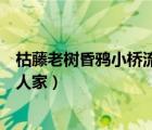 枯藤老樹(shù)昏鴉小橋流水人家的意思（枯藤老樹(shù)昏鴉小橋流水人家）