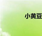 小黃豆博主（小黃豆導(dǎo)航）