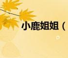 小鹿姐姐（說一說小鹿姐姐的簡介）