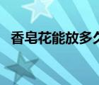 香皂花能放多久不變色（香皂花能放多久）