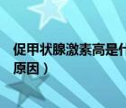 促甲狀腺激素高是什么原因?qū)е碌模ù偌谞钕偌に馗呤鞘裁丛颍?/>
                                    </a>
                                                </div>
                                    <div   id=