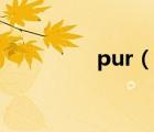 pur（說一說pur的簡(jiǎn)介）