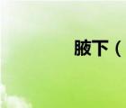 腋下（說一說腋下的簡介）