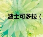 波士可多拉（說一說波士可多拉的簡介）