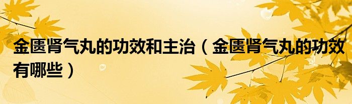 金匱腎氣丸的功效和主治（金匱腎氣丸的功效有哪些）