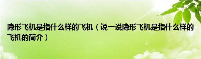 隱形飛機是指什么樣的飛機（說一說隱形飛機是指什么樣的飛機的簡介）
