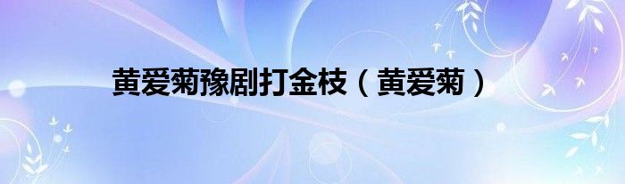 黃愛菊豫劇打金枝（黃愛菊）