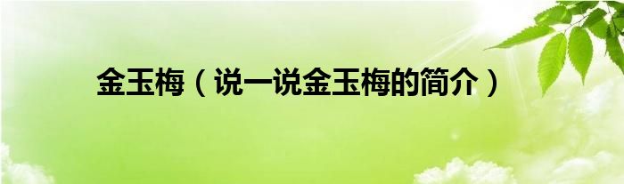 金玉梅（說一說金玉梅的簡介）
